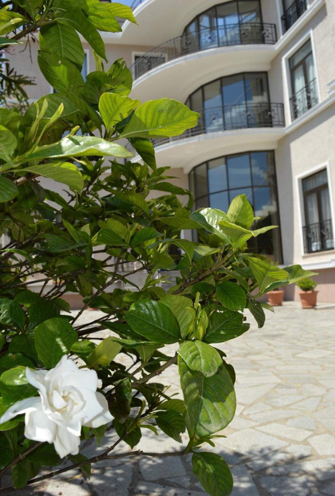 Boutique Hotel Argo 库塔伊西 外观 照片